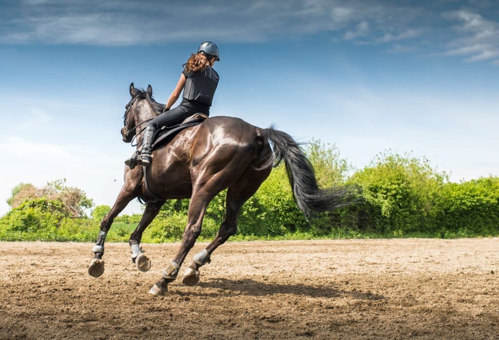 A rider on a dark brown horse cantering across an outdoor riding arena