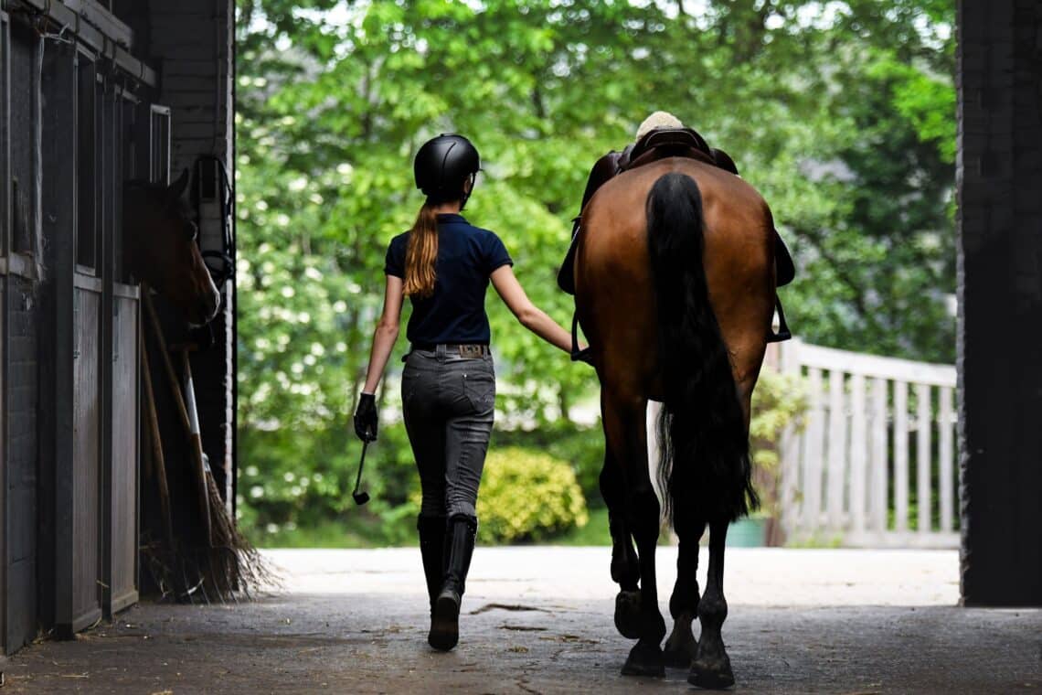 A rider leading a brown horse out of the stable