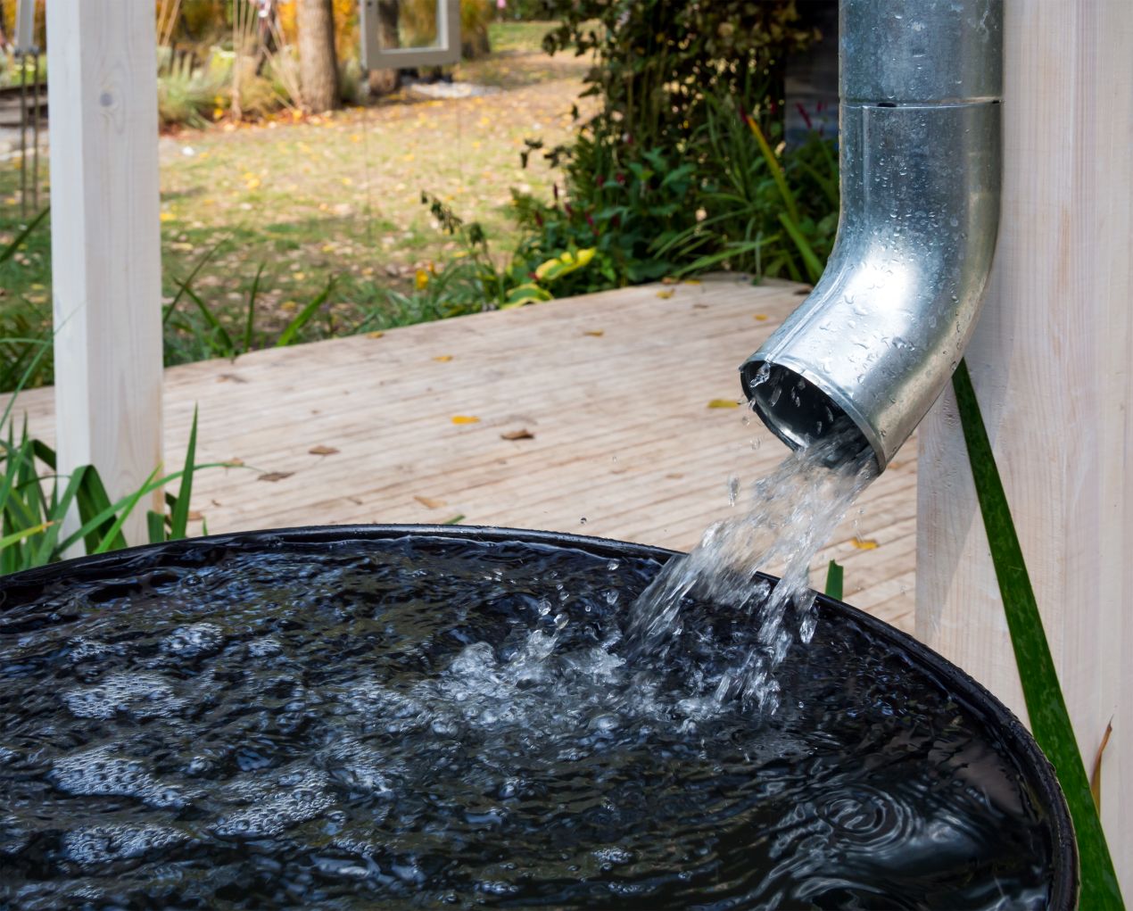 Regenwassernutzungsanlage im Einsatz: Fallrohr leitet Regenwasser in eine Auffangtonne im Garten – einfache und effektive Nutzung von Niederschlag.